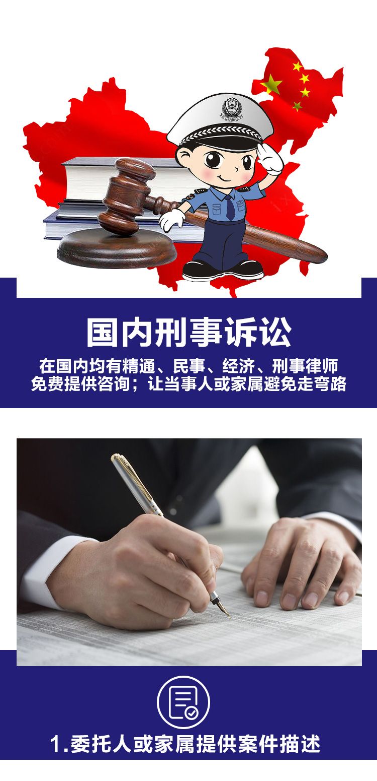 国内刑事诉讼详情_01.jpg