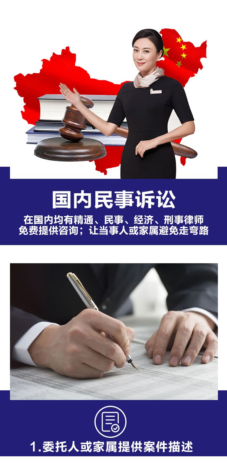 国内民事诉讼详情_01.jpg